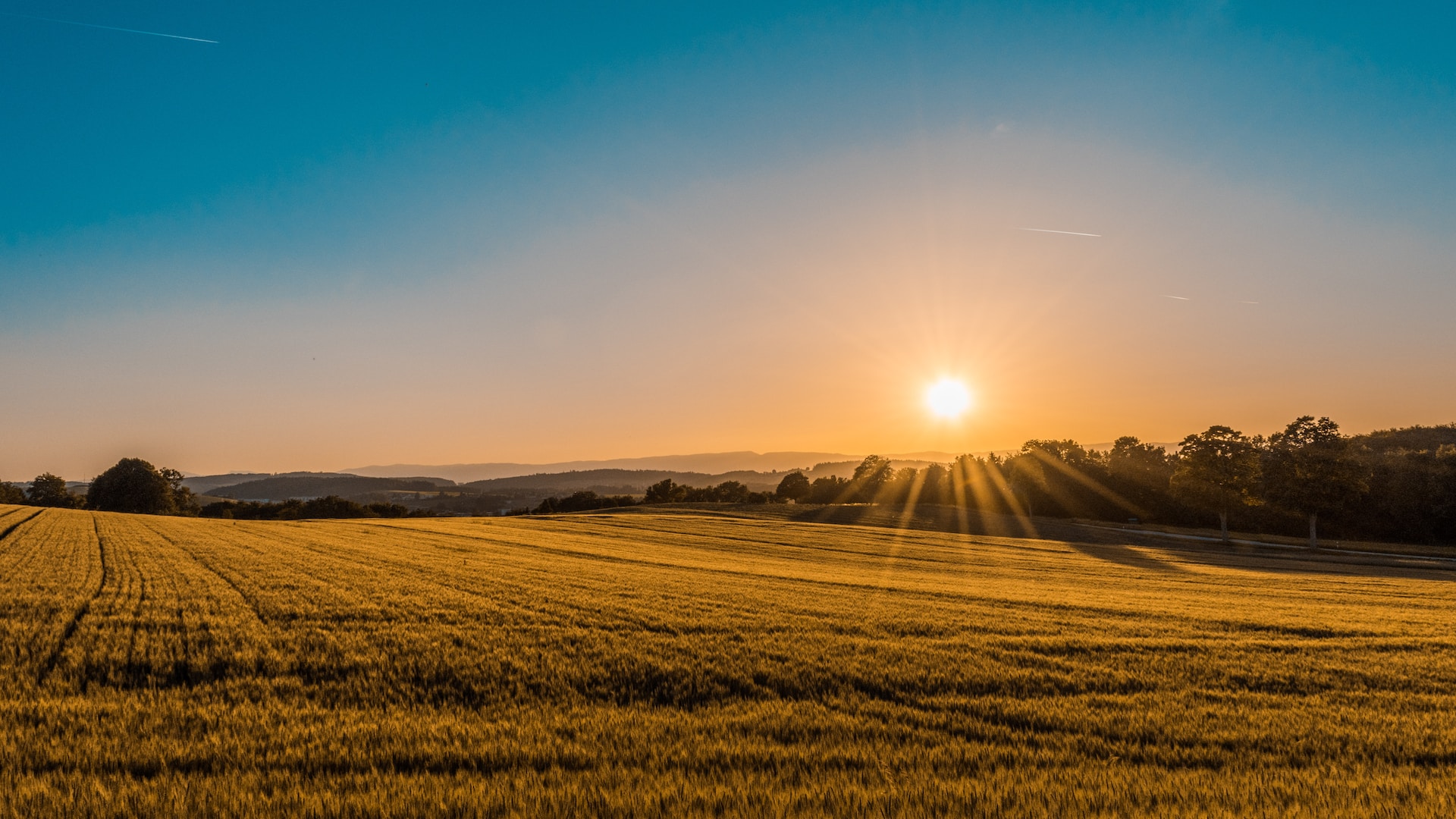 Agro-Alimentaire